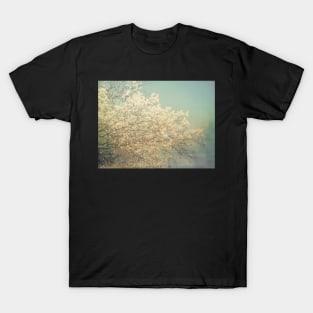 Spring Blossoms photography T-Shirt